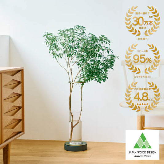 枝もの定期便 100cmプラン | 多彩に飾れるスタンダードサイズ