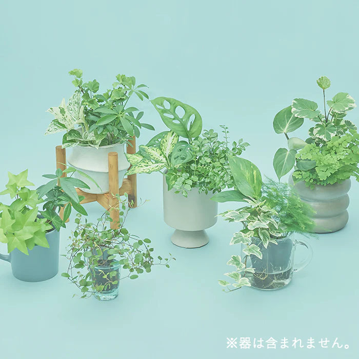【＆Green life Plan】